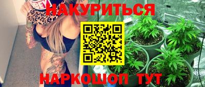 сатива Славгород