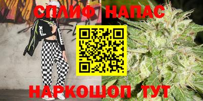 ПСИЛОЦИБИНОВЫЕ ГРИБЫ Сланцы