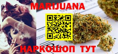 сатива Славгород