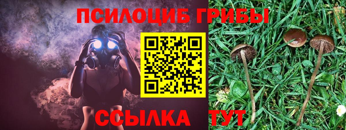 Новосибирск  Галлюциногенные грибы GOLDEN TEACHER  Вход с VPN 